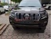 Toyota Prado     VX 2.7L   2019 - Bán Toyota Prado 2.7VX hoàn toàn mới, xe giao ngay