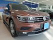 Volkswagen Tiguan Allspace 2018 - Volkswagen Tiguan nâu và xanh rêu - Phiên bản giới hạn