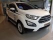 Ford EcoSport 2019 - Bán xe Ford EcoSport năm sản xuất 2019, ưu đãi lớn
