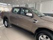 Ford Ranger  XLT AT 4x4 2.2L 2019 - Cần bán Ford Ranger XLT AT 4x4 2.2L sản xuất năm 2019, màu nâu, nhập khẩu, giá 779tr