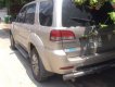 Ford Escape 2009 - Bán Ford Escape sản xuất năm 2009, màu vàng, xe nhập