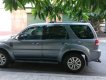 Ford Escape  XLT   2009 - Bán Ford Escape XLT sản xuất năm 2009, màu bạc