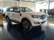 Ford Everest 2.0L Single_Turbo Ambiente MT 2019 - Bán Ford Everest 2019, tặng phụ kiện, hỗ trợ vay 80%, LH 0981.183.915