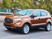 Ford EcoSport 2019 - Bán Ford EcoSport năm 2019, nhập khẩu nguyên chiếc, 689tr