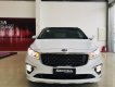 Kia Sedona Platinum D 2019 - Sôi động mùa hè cùng Kia Sedona 2019 với nhiều ưu đãi khủng và quà tặng hấp dẫn