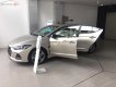Hyundai Elantra Sport 2018 - Bán ô tô Hyundai Elantra sport năm sản xuất 2018, giá 700tr