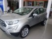 Ford EcoSport 2019 - Cần bán xe Ford EcoSport năm sản xuất 2019, giá chỉ 635 triệu