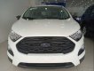 Ford EcoSport 2019 - Bán ô tô Ford EcoSport đời 2019, màu trắng, xe mới 100%