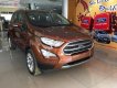 Ford EcoSport 2019 - Bán Ford EcoSport năm 2019, nhập khẩu nguyên chiếc, 689tr