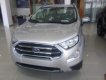 Ford EcoSport 2019 - Cần bán xe Ford EcoSport năm sản xuất 2019, giá chỉ 635 triệu