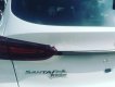 Hyundai Santa Fe Premium 2.2L HTRAC 2019 - Bán ô tô Hyundai Santa Fe Premium 2.2L HTRAC sản xuất 2019, màu trắng