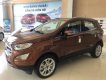 Ford EcoSport Titanium 1.5L AT 2019 - Bán ô tô Ford EcoSport Titanium 1.5L AT sản xuất năm 2019, màu nâu, 650tr