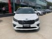 Kia Sedona Platinum G 2019 - Bán xe Kia Sedona Platinum G đời 2019, màu trắng