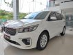 Kia Sedona Luxury 2019 - Kia Sedona 2019 nhiều ưu đãi hấp dẫn, lãi suất tốt