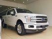 Ford F 150 Platinum 2018 - Bán Ford F150 Platinum 2018 mới 100%, giao ngay