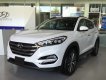 Hyundai Tucson FL 2019 - Cần bán xe Hyundai Tucson FL năm sản xuất 2019, xe nhập, 798 triệu