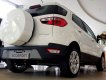 Ford EcoSport Titanium 2018 - Bán Ford Ecosport 2019 gia tốt giao xe ngay