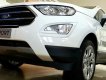 Ford EcoSport Titanium 2018 - Bán Ford Ecosport 2019 gia tốt giao xe ngay