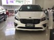 Kia Sedona Platinum G 2019 - Sedona 2019 giá ưu đãi cho vay lên đến 80% giá trị xe