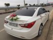 Hyundai Sonata 2010 - Bán xe Hyundai Sonata 2010, màu trắng, xe nhập số tự động, giá 500tr