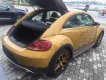 Volkswagen Beetle Dune 2018 - Bán ô tô Volkswagen Beetle Dune đời 2018, màu vàng, nhập khẩu