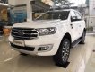 Ford Everest 2.0 Bi-Turbo Titanium 2019 - Lào Cai bán Ford Everest Titan 2019, giá tốt nhất thị trường, trả góp cao tặng full phụ kiện 