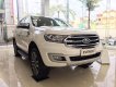 Ford Everest 2.0 Bi-Turbo Titanium 2019 - Lào Cai bán Ford Everest Titan 2019, giá tốt nhất thị trường, trả góp cao tặng full phụ kiện 