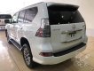 Lexus GX GX460 2017 - Bán Lexus GX460 màu trắng, sản xuất và đăng ký 2017. LH: 0906223838