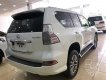 Lexus GX GX460 2017 - Bán Lexus GX460 màu trắng, sản xuất và đăng ký 2017. LH: 0906223838