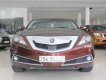 Acura ZDX   ZDX SH-AWD  2009 - Bán xe Acura ZDX SH-AWD sx 2009 đời 2010, màu nâu, xe nhập