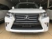 Lexus GX 460 2017 - Bán Lexus GX460 màu trắng, sản xuất năm 2017 đăng ký cá nhân