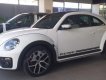 Volkswagen New Beetle Dune 2018 - Bán ô tô Volkswagen New Beetle Dune sản xuất năm 2018, màu trắng, xe nhập