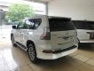 Lexus GX 460 2017 - Bán Lexus GX460 màu trắng, sản xuất năm 2017 đăng ký cá nhân