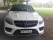 Mercedes-Benz GLE-Class  GLE43 2018 - Cần bán Mercedes GLE43 2018, màu trắng, nhập khẩu nguyên chiếc