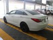 Hyundai Sonata 2.0AT 2011 - Cần bán Hyundai Sonata 2.0AT đời 2011, màu trắng, xe nhập