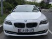 BMW 5 Series 528i 2010 - BMW 5 seris 528i model 2011 còn mới