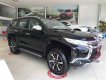 Mitsubishi Pajero 2019 - Bán ô tô Mitsubishi Pajero năm 2019, màu đen, nhập khẩu nguyên chiếc