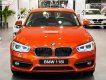 BMW 1 Series 118i 2019 - Cần bán xe BMW 1 Series 118i đời 2019, giới hạn tốc độ, 6 túi khí, lốp an toàn chống xịt Runfla