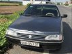 Peugeot 405 1993 - Cần bán lại xe Peugeot 405 đời 1993, nhập khẩu xe gia đình