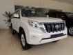 Toyota Land Cruiser Prado 2019 - Bán Toyota Land Cruiser Prado đời 2019, màu trắng, xe nhập