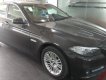 BMW 5 Series 520i 2013 - Bán BMW 520I máy xăng 2.0 màu nâu/kem sản xuất 2013, biển Hà Nội