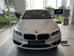 BMW 2 Series  218i 2019 - Bán BMW 218i sản xuất năm 2019, màu trắng, nhập khẩu 