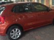 Volkswagen Polo    1.6AT   2017 - Bán Volkswagen mới cứng đến từng con ốc