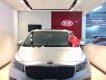 Kia Sedona Platinum D 2018 - Bán ô tô Kia Sedona Platinum D sản xuất năm 2018, màu bạc