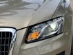 Audi Q5  2.0 Quatro 2010 - Bán xe Audi Q5 2.0 Quatro 2010, màu vàng cát