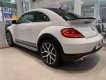 Volkswagen Beetle   2019 - Bán xe Volkswagen Beetle 2019, màu trắng, xe nhập