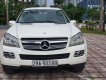 Mercedes-Benz GL 320 2007 - Cần bán Mercedes GL320 năm 2007, màu trắng, nhập khẩu, giá 930tr