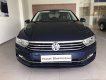 Volkswagen Passat 2018 - Bán Volkswagen Passat model 2018 Sedan cao cấp-sản xuất tại Đức - Nhập chính hãng