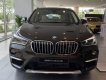 BMW X1 sDrive18i 2018 - Bán BMW X1 sDrive18i năm sản xuất 2018, màu nâu, xe nhập