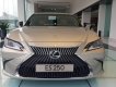 Lexus ES 250   2019 - Bán Lexus ES 250 đời 2019, màu vàng cát, nhập khẩu